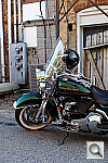 Click to see YL1000876.JPG
