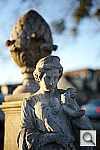 Click to see YL1000937.JPG