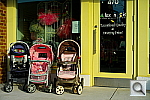 Click to see YL1001525.JPG
