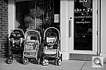 Click to see YL1001526.JPG