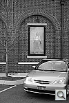 Click to see YL1001529.JPG