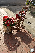 Click to see YPICT0476.JPG