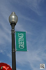 Click to see YPICT0491.JPG