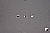 Click to see NEX5FL08T.JPG