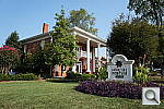 Click to see YDSC00033.JPG