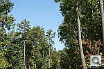 Click to see NEX7PINE_IDCdefaults.JPG