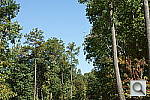 Click to see NEX7PINE_IDCm50ou50.JPG