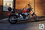 Click to see YDSC01357.JPG