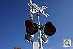 Click to see ynex7_DSC00925.JPG