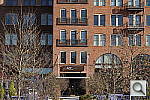 Click to see ynex7_DSC00927.JPG