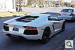 Click to see ynex7_DSC00944.JPG