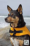 Click to see ynex7_DSC01085.JPG