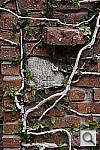 Click to see ynex7_DSC1110.JPG
