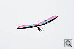 Click to see ynex7_DSC1176.JPG