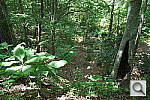 Click to see YDSC00040.JPG