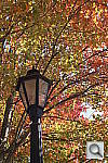 Click to see YDSC00046.JPG