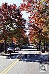 Click to see YDSC00048.JPG