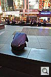 Click to see YDSC_0071.JPG