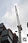 Click to see YDSC_0122.JPG