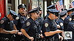 Click to see YDSC_0179.JPG