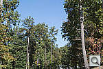 Click to see V1PINE_ACRu250r03.JPG