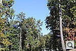 Click to see V1PINE_VNX.JPG