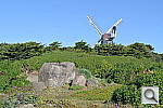 Click to see YDSC_1519.JPG