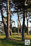Click to see YDSC_1572.JPG