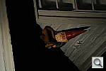Click to see YDSC_1588.JPG