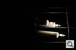 Click to see YDSC_1591.JPG