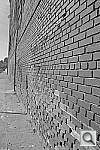 Click to see Y_DSC0956.JPG