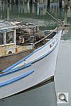 Click to see Y_DSC1366.JPG