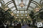 Click to see Y_DSC1426.JPG