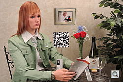 Click to see V1INBAP0.JPG