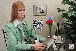 Click to see V1INBMP0.JPG