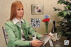 Click to see V1INBTP0.JPG