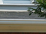 Click to see NV11FARWTDT.JPG