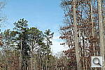 Click to see NX200PINE.JPG