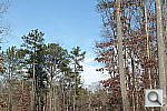Click to see NX200PINE_SP.JPG