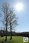 Click to see YPSAM_3282.JPG