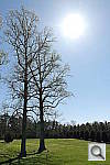 Click to see YPSAM_3285.JPG