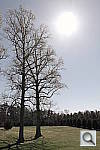 Click to see YPSAM_3287.JPG