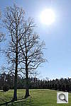 Click to see YPSAM_3288.JPG