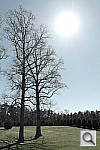 Click to see YPSAM_3289.JPG
