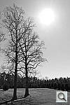 Click to see YPSAM_3290.JPG