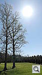 Click to see YSAM_3278.JPG