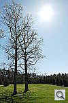 Click to see YiYSAM_3291.JPG