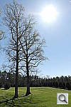 Click to see YiYSAM_3293.JPG