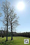 Click to see YiYSAM_3294.JPG