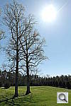 Click to see YiYSAM_3295.JPG